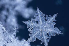 Plateaux repas festifs Entreprise